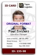 Business Fake ID | Scannable Fake ID Cards | business ID Cards
