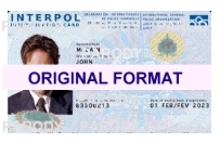 interpol-agent-id-card