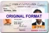 Fake Student Identity | Fake Student Id | Novelty Student ID | Fake Id Student any college or University Student