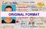 California Fake IDs | Scannable Fake ID's