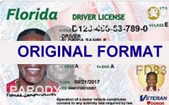Fake ID Florida | Fake ID Florida Maker | Fake ID | Fake Florida ID Cards | Florida Fake Photo ID