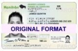 manitoba fake ids scannable with holograms