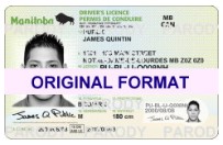 manitoba fake ids scannable with holograms