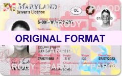 scannable fake maryland id drivers license