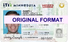 minnesota Fake ID's