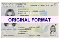 newfoundland fake ids scannable with holograms