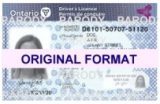 ontario fake ids scannable with holograms