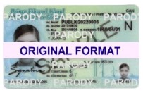 prince edward island fake ids