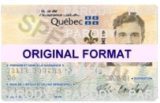 quebec fake ids scannable with hoograms