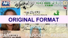 Scannable Fake ID Wyoming