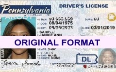 Pennsylvania Real Fake ID's Scannable