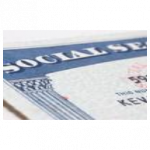 fake social security id card