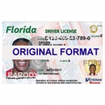 Florida Fake UDs