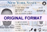 New York Fake IDs | Fake ID New York | scannable Novelty ID Cards | New York Photo ID Card | Driver License New York